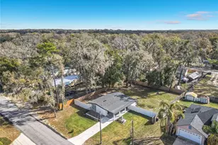 31700 Orange St, Sorrento, FL 32776 - Photo 33