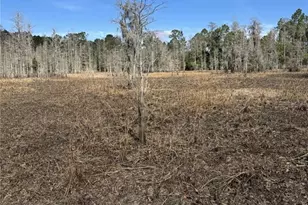 [Address not provided], Groveland, FL 34736 - Photo 13