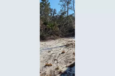 [Address not provided], Groveland, FL 34736 - Photo 11