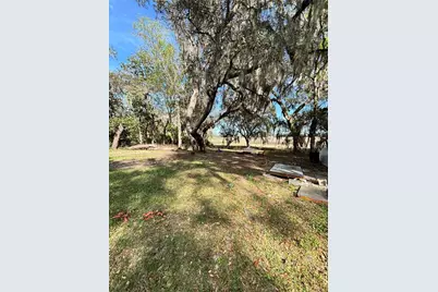 14179 NE 53rd Court Road, Citra, FL 32113 - Photo 5