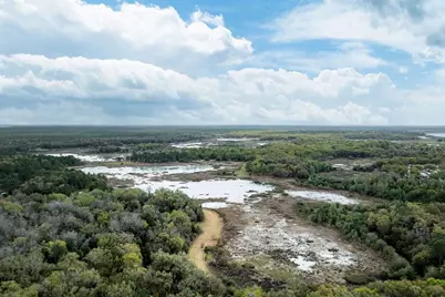 Forest  02 Road, Umatilla, FL 32784 - Photo 45