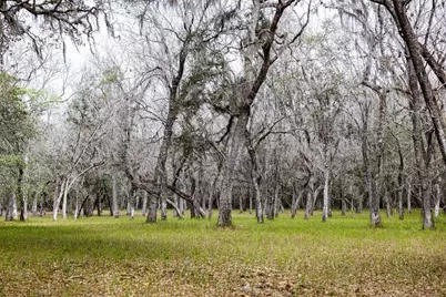 Forest  02 Road, Umatilla, FL 32784 - Photo 21