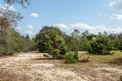 Forest  02 Road, Umatilla, FL 32784 - Photo 31