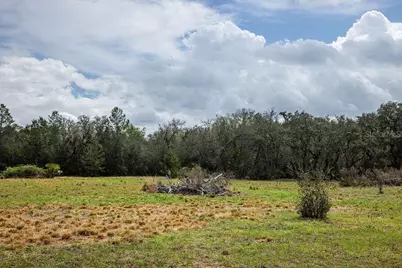 Forest  02 Road, Umatilla, FL 32784 - Photo 29