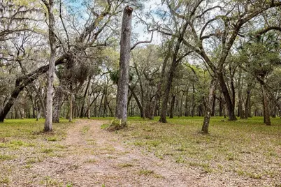 Forest  02 Road, Umatilla, FL 32784 - Photo 63