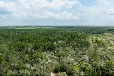 Forest  02 Road, Umatilla, FL 32784 - Photo 51