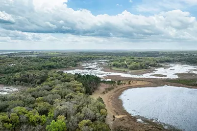 Forest  02 Road, Umatilla, FL 32784 - Photo 43