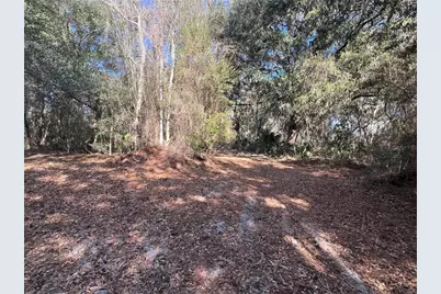 Forest  02 Road, Umatilla, FL 32784 - Photo 13