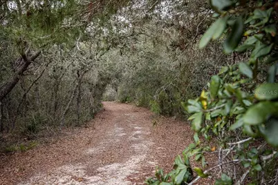 Forest  02 Road, Umatilla, FL 32784 - Photo 39