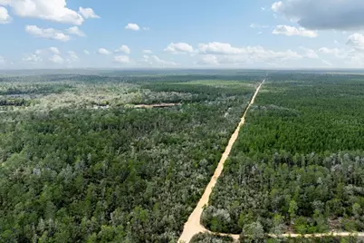 Forest  02 Road, Umatilla, FL 32784 - Photo 53