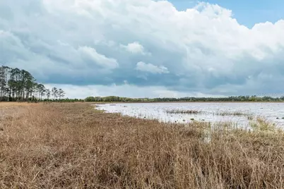 Forest  02 Road, Umatilla, FL 32784 - Photo 17