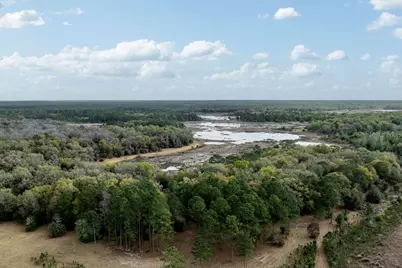 Forest  02 Road, Umatilla, FL 32784 - Photo 47