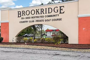 9925 Scepter Ave, Brooksville, FL 34613 - Photo 49