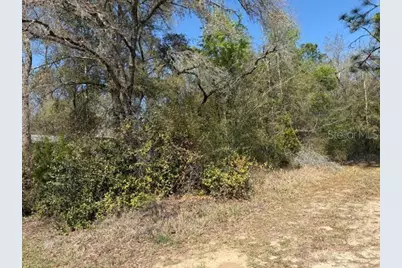 1567 W Saint Elizabeth Place, Citrus Springs, FL 34434 - Photo 1