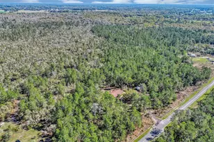 2588 Co Rd 245C, Oxford, FL 34484 - Photo 51