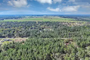 2588 Co Rd 245C, Oxford, FL 34484 - Photo 57