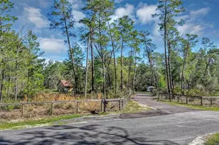 2588 Co Rd 245C, Oxford, FL 34484 - Photo 53