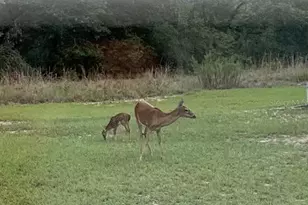 14020 SE 106th St, Ocklawaha, FL 32179 - Photo 53