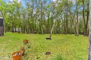 35629 Seneca Reserve Dr, Eustis, FL 32736 - Photo 69