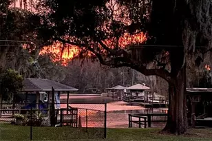 111 Cardinal Ln, Eustis, FL 32726 - Photo 1