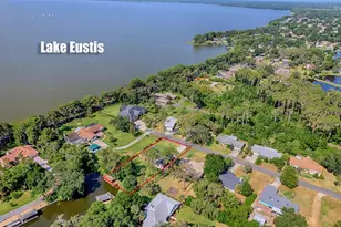 111 Cardinal Ln, Eustis, FL 32726 - Photo 53