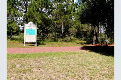 13421 SE 92nd Court Road, Summerfield, FL 34491 - Photo 5