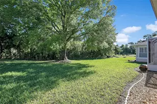 32804 Oak Park Dr, Leesburg, FL 34748 - Photo 31