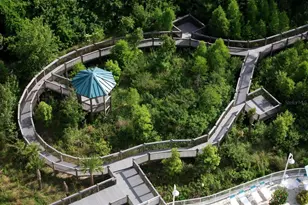 13427 Blue Heron Beach Dr, Orlando, FL 32821 - Photo 13