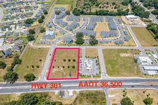 11532 N US Hwy 301, Oxford, FL 34484 - Photo 1