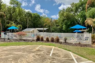 8 Orangewood Dr, Fruitland Park, FL 34731 - Photo 25