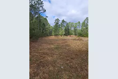 Greengrove Boulevard, Clermont, FL 34714 - Photo 5