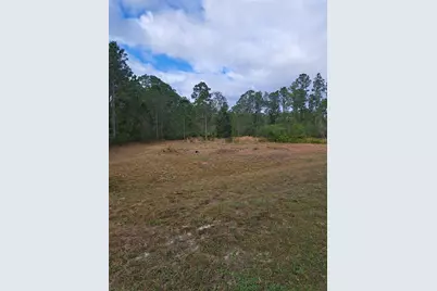 Greengrove Boulevard, Clermont, FL 34714 - Photo 3