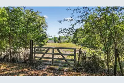 32510 Whitney Road, Leesburg, FL 34748 - Photo 13