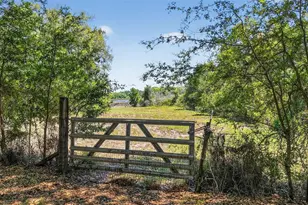 32510 Whitney Rd, Leesburg, FL 34748 - Photo 13