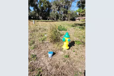 3814 E C 478, Webster, FL 33597 - Photo 5