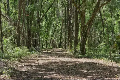 0000 Bertsville Road & Griffin View Drive, Lady Lake, FL 32159 - Photo 19