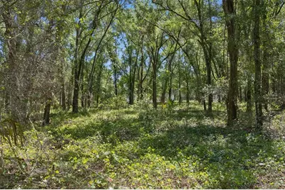 0000 Bertsville Road & Griffin View Drive, Lady Lake, FL 32159 - Photo 21