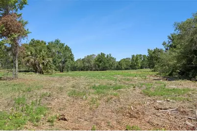 0000 Bertsville Road & Griffin View Drive, Lady Lake, FL 32159 - Photo 11