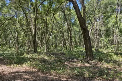 0000 Bertsville Road & Griffin View Drive, Lady Lake, FL 32159 - Photo 17