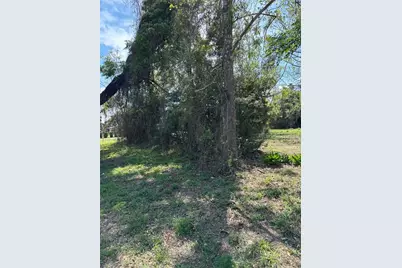 0000 State Road 19, Groveland, FL 34736 - Photo 3