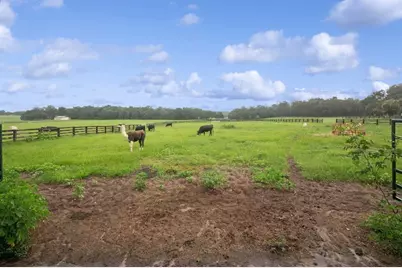 35520 Timbertop Lane, Fruitland Park, FL 34731 - Photo 49