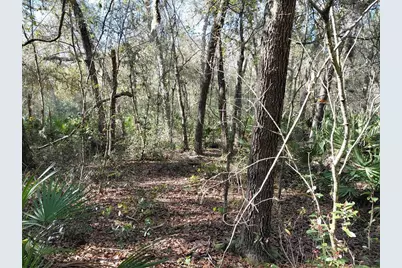 36031 Butternut Drive, Webster, FL 33597 - Photo 1