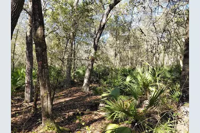 36031 Butternut Drive, Webster, FL 33597 - Photo 13