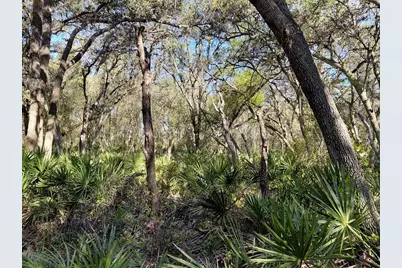 36031 Butternut Drive, Webster, FL 33597 - Photo 3