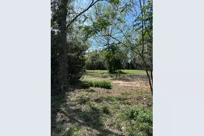 State Road 19, Groveland, FL 34736 - Photo 3