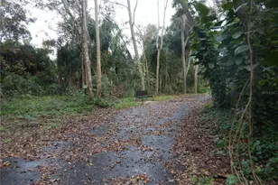 17345 Porter Ave, Montverde, FL 34756 - Photo 17