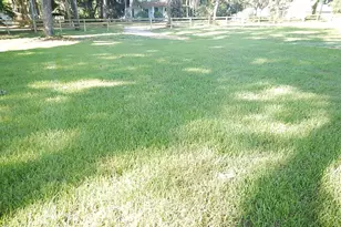 17345 Porter Ave, Montverde, FL 34756 - Photo 19