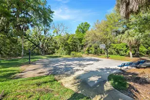 413 Split Oak Ct, Eustis, FL 32736 - Photo 41