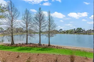 3776 E Torch Lake Dr, The Villages, FL 32163 - Photo 63