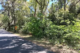 10th St, Webster, FL 33597 - Photo 1